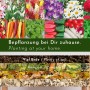 WONDERMAKE Hochbeet aus Kirschbaumholz mit Erd-, Kompost-, Laub- und Baumschnittschichten.
