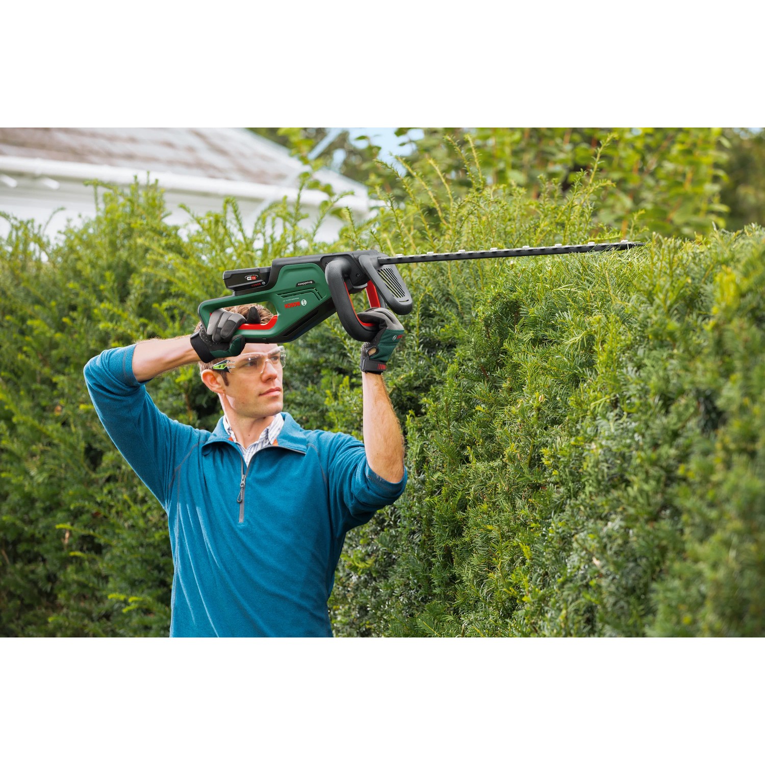 Mann schneidet Hecke mit Bosch Akku-Heckenschere Universal Hedge Cut 18-55.