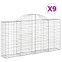 9er Set vidaXL Gabionen mit Hochbogen, 200x30x100/120cm, aus verzinktem Eisen für Hochbeete.
