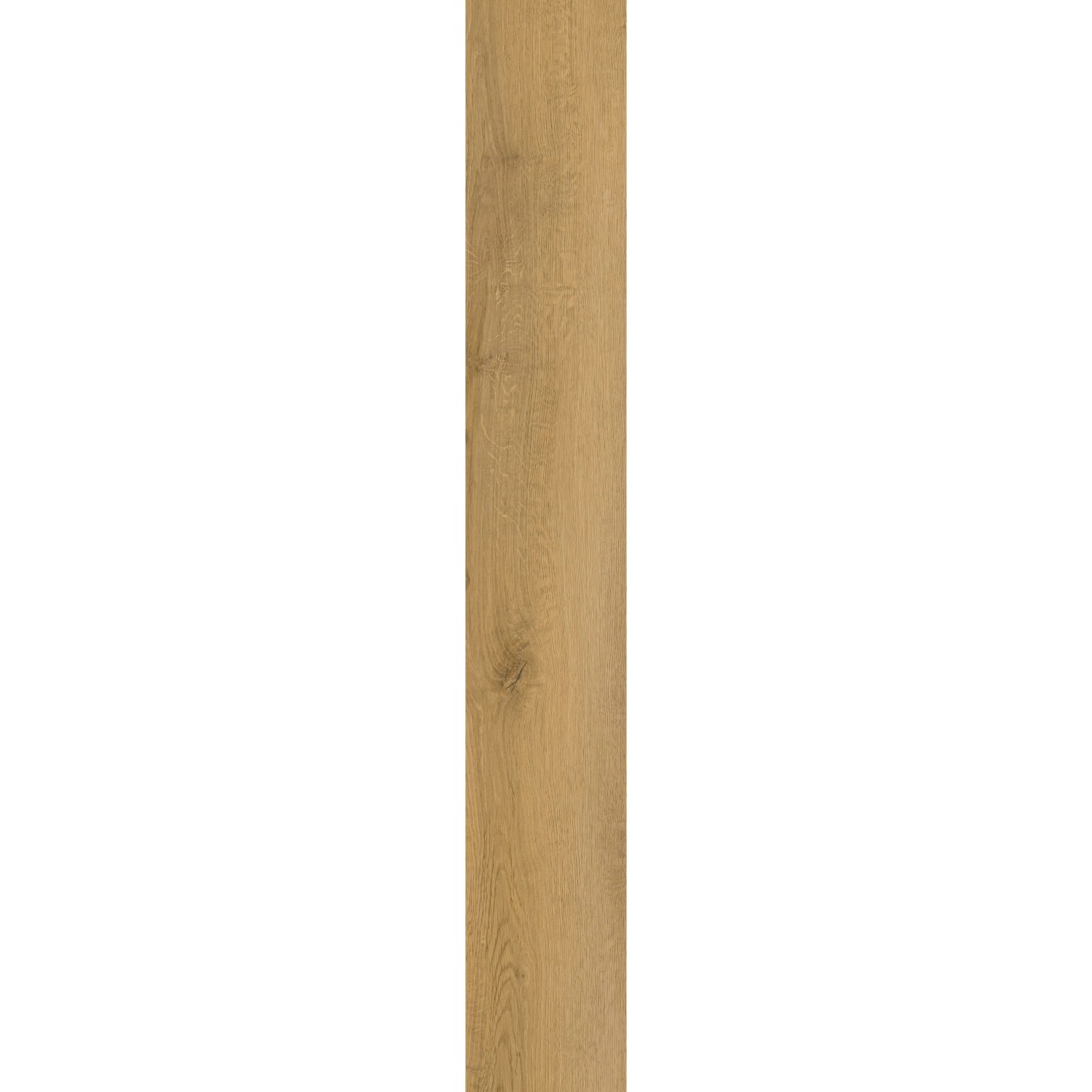Click-Vinylboden Prato Eiche Beige-Sand: Detailaufnahme der Holzoptik und Farbe.
