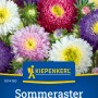 Kiepenkerl Sommeraster Prinzess Mischung: Blüten in verschiedenen Farben.