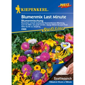 Kiepenkerl Blumenmix Last Minute Saatteppich mit farbenfrohen Sommerblumen.