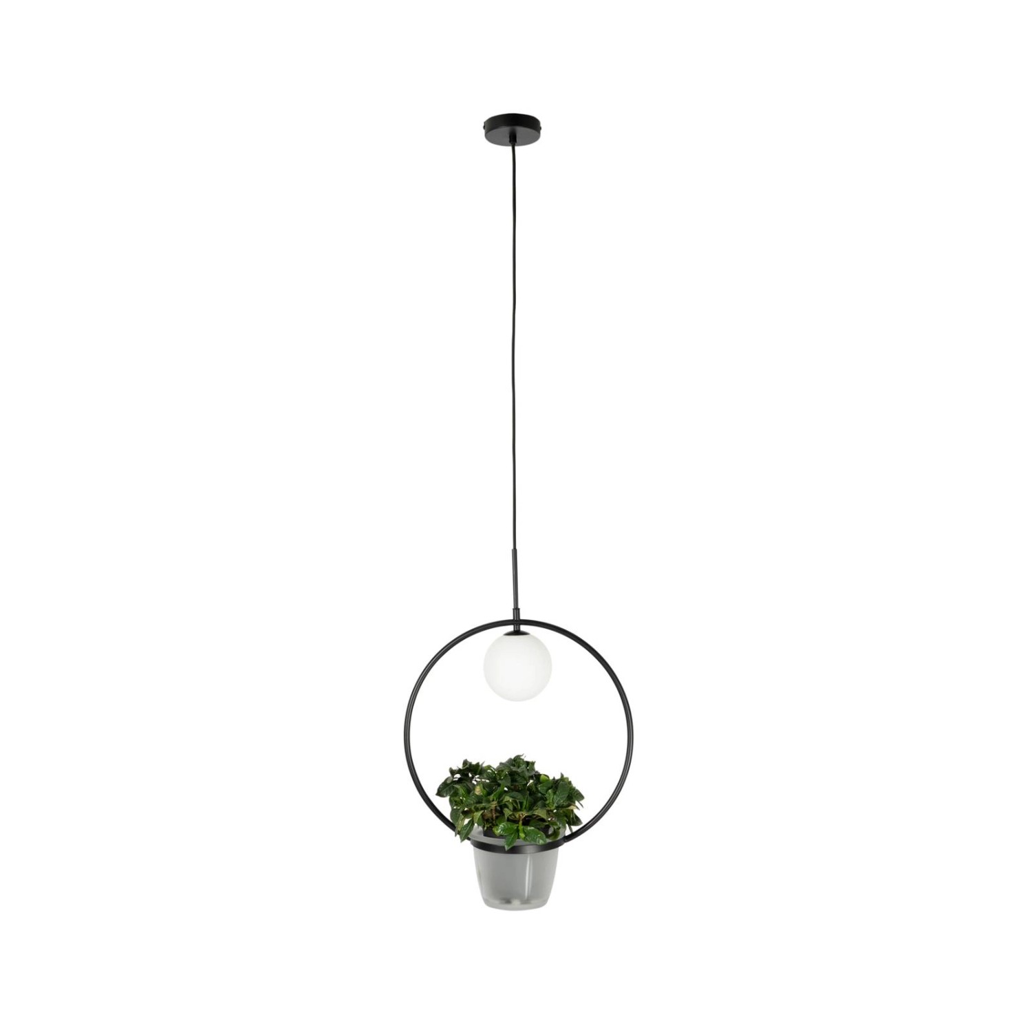 Lindby Pendelleuchte Orna 10012291 Modern in Schwarz aus Metall 1-flammig G günstig online kaufen