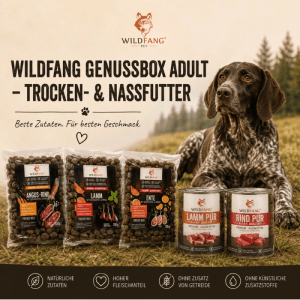 Wildfang Genussbox Adult Trocken- & Nassfutter Adult Huhn & Rind Pur