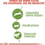 Royal Canin Outdoor: Grafik zu aktive Katze, Hautbarriere und gesunde Gelenke. Spezialfutter für Freigänger.
