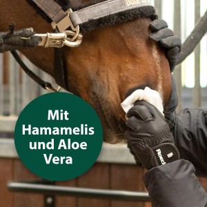 Pferd wird mit Equisept Pflegetuch gereinigt. Universal Pflegetücher mit Aloe Vera & Hamamelis.