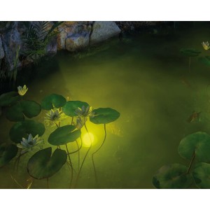 Teich mit Seerosen und Paulmann Plug & Shine LED-Teichbeleuchtung in Warmweiß.