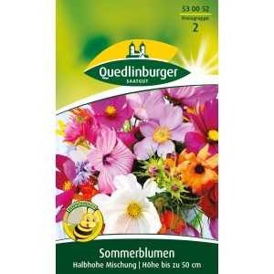 Quedlinburger Sommerblumen, halbhohe Mischung für farbenfrohe Beete und Rabatten.