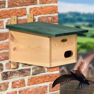 Dobar Holz-Nistkasten Vobu aus Kiefernholz mit grünem Dach an Ziegelwand, Mauersegler fliegt zum Einflugloch.