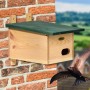 Dobar Holz-Nistkasten Vobu aus Kiefernholz mit grünem Dach an Ziegelwand, Mauersegler fliegt zum Einflugloch.