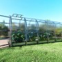 Langes, schlankes Klasika Gewächshaus 12m² mit Polycarbonat-Abdeckung im Garten.