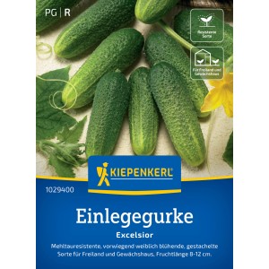 Kiepenkerl Einlegegurken Excelsior Samen, dunkelgrüne, gestachelte Gurken.