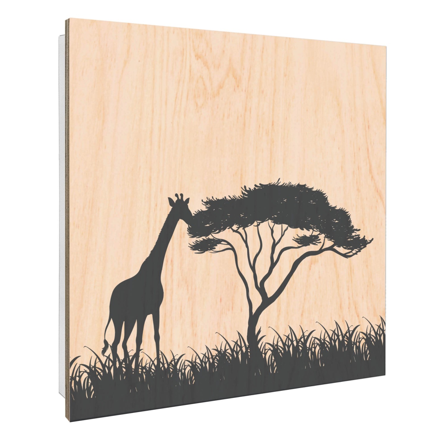 Banjado Schlüsselkasten mit Holzfront 30x30cm Weiß Scharnier Links 50 Haken günstig online kaufen