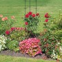 Relaxdays Rankhilfe 2er Set Eisen Schwarz Höhenverstellbar 150 cm 520 g_5