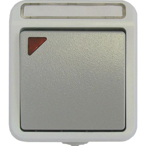 ASS AP/FR Kontroll-Wechselschalter IP54 für Feuchträume, grau/weiß.