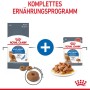 Royal Canin Light Weight Care: Trocken- und Feuchtfutter für Katzen mit Übergewicht, dargestellt als Komplettset.