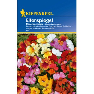 Kiepenkerl Elfenspiegel Märchenzauber Blumensamen, mehrfarbig für Beet und Blumensträuße.