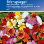 Kiepenkerl Elfenspiegel Märchenzauber Blumensamen, mehrfarbig für Beet und Blumensträuße.