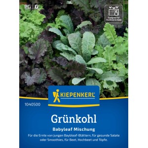 Kiepenkerl Saatgut Grünkohl Babyleaf Mischung