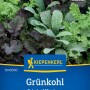 Kiepenkerl Saatgut Grünkohl Babyleaf Mischung