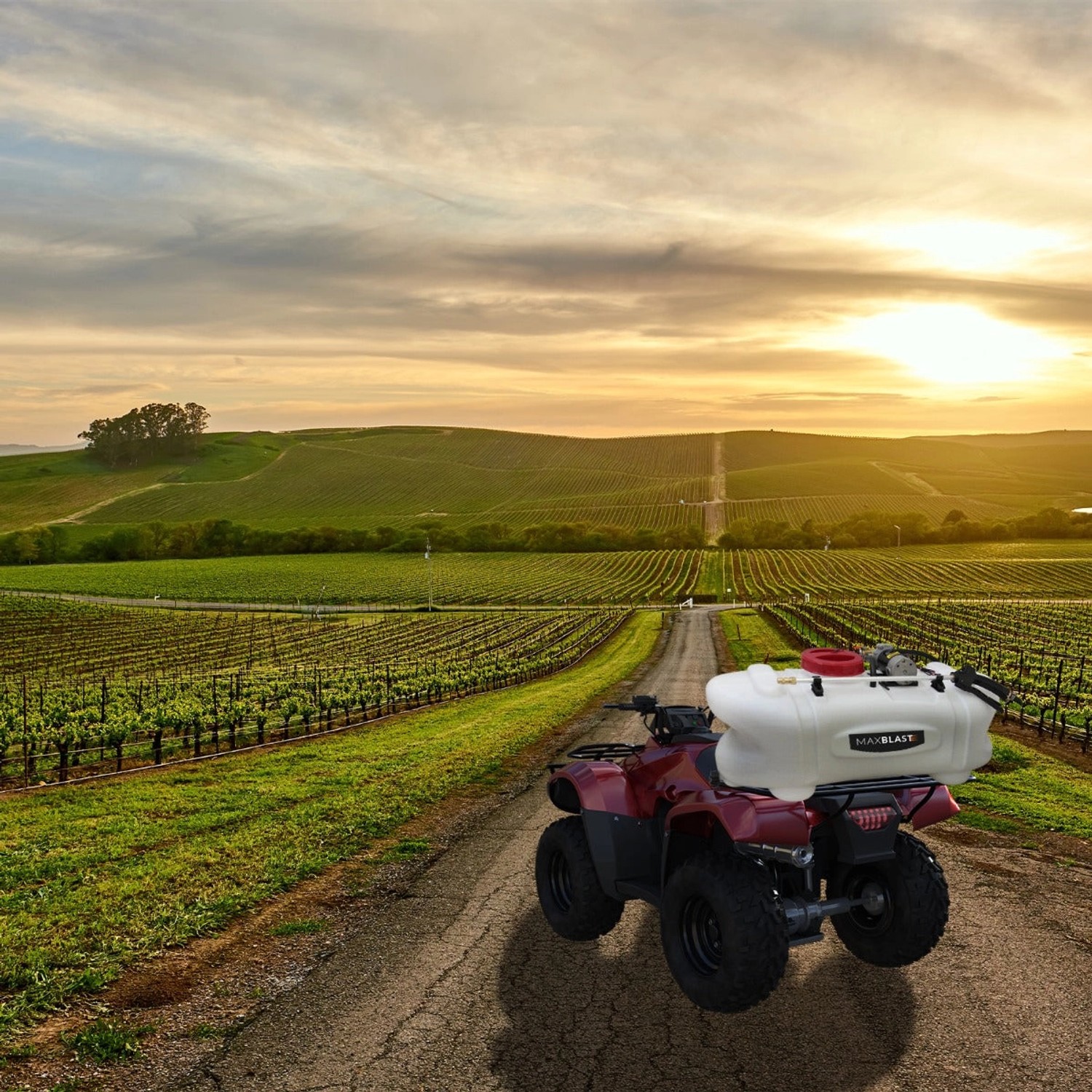 Monstershop ATV Quad Sprühgerät Sprüher Düngersprüher 60L günstig online kaufen