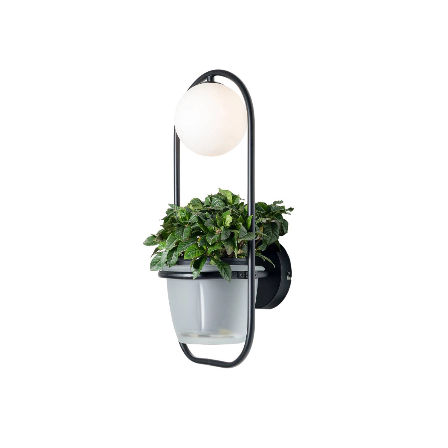 Lindby Wandleuchte Wandlampe Innen Orna 10012290 Modern in Schwarz aus Meta günstig online kaufen