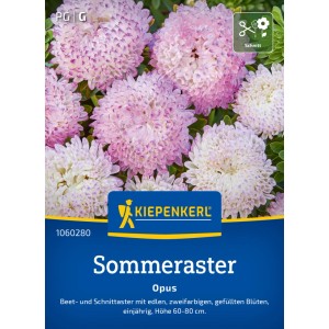 Kiepenkerl Sommeraster Opus Saatgut mit rosa-weißen Blüten.