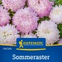 Kiepenkerl Sommeraster Opus Saatgut mit rosa-weißen Blüten.