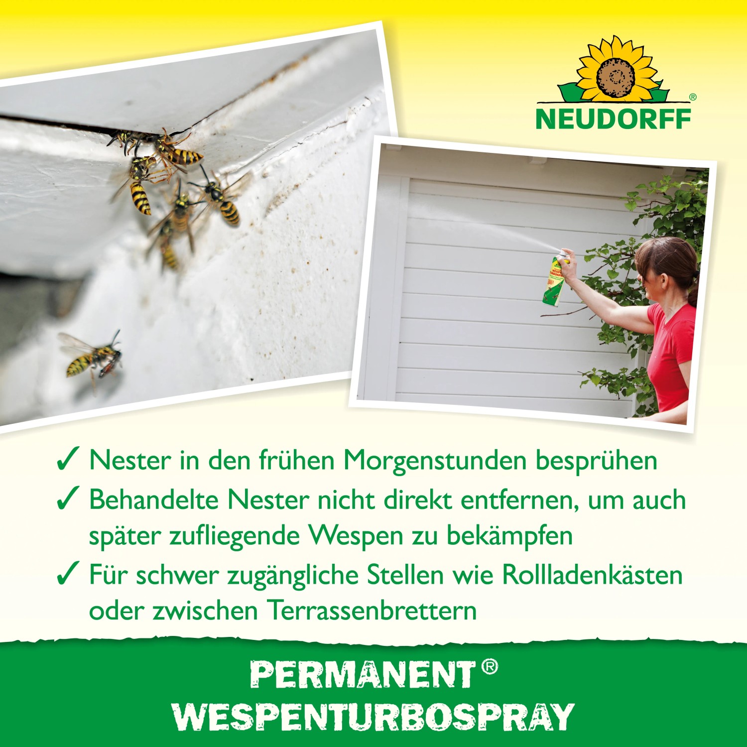 Neudorff Permanent Wespenspray Turbo: Wespen und Wespennester bekämpfen. Anwendung aus sicherer Entfernung.