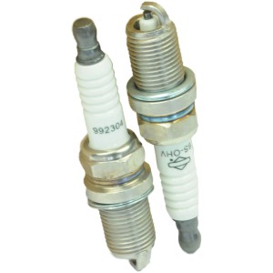 Zündkerzen für OHV Intek & Vanguard Motoren, Zubehör für Rasenmäher.