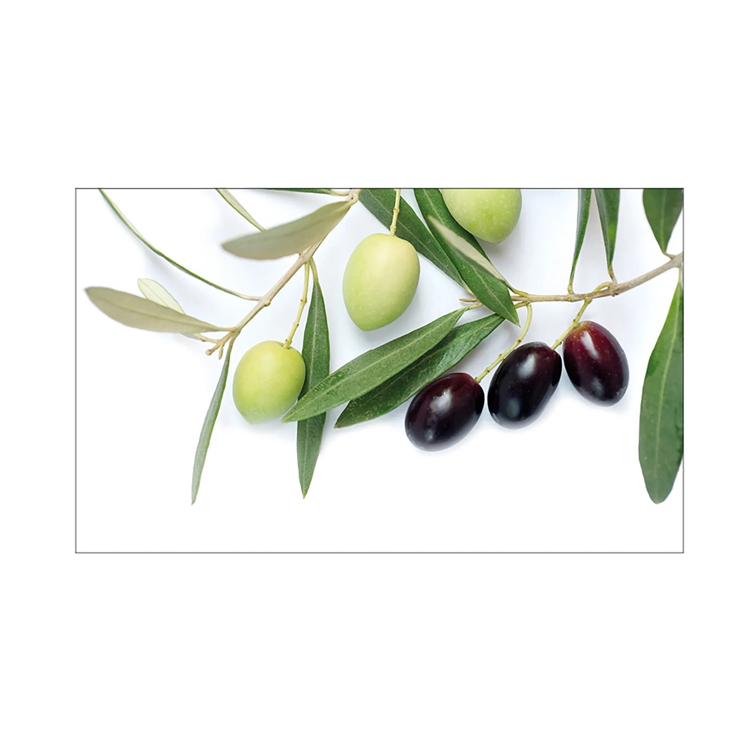 MySpotti Küchenrückwand Profix Cucina Olivenzweig 100 x 60 cm Olivgrün