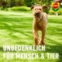 Hund auf Rasen mit Compo Bio Gartendünger Hinweis: Unbedenklich für Mensch & Tier.
