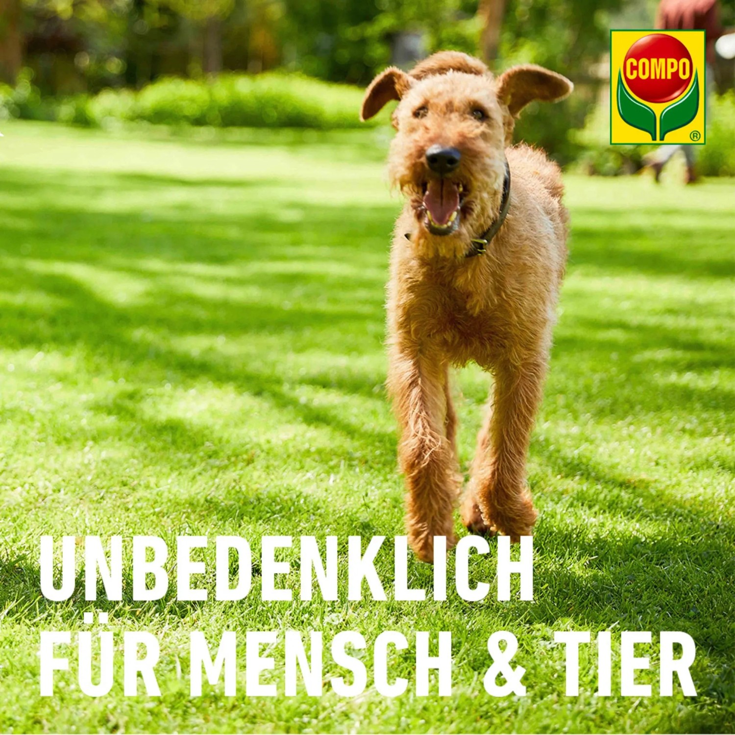 Compo Organischer Gartendnger 10 kg kaufen bei OBI