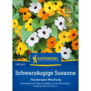 Kiepenkerl Saatgut Schwarzäugige Susanne Thunbergien Mischung