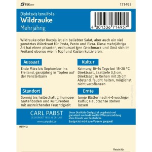 Pabst Keimkraft Wildrauke Rucola Saatgutpackung, mehrjährig.