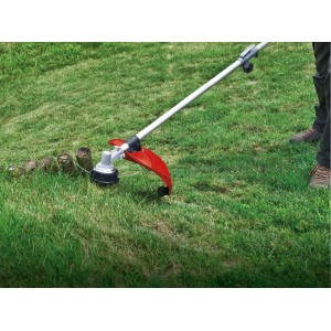 Einhell GC-BC 30/1 I AS Benzin-Sense beim Trimmen von Gras im Garten.