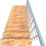 Minka Mittelholmtreppe Comfort Top, Buche weiß, Aufsicht auf die Holzstufen mit weißem Geländer.
