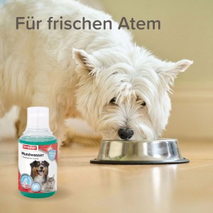 Beaphar Mundwasser für Hunde und Katzen (250ml) zur Zahnpflege für frischen Atem.