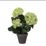 Mica Decorations Kunstpflanze Hortensie Stan, 40 cm, im Topf. Dekorative, grüne Kunstblume.