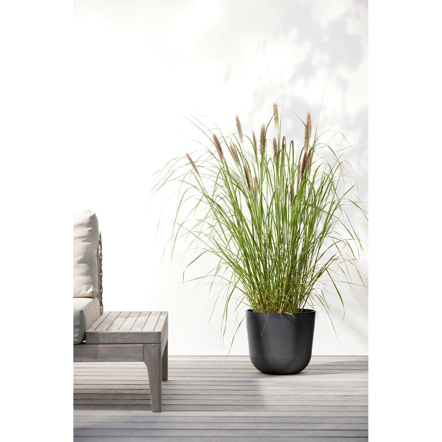 Ecopots Pflanztopf Oslo, dunkelgrau, 25 cm, mit Ziergras, für Innen- und Außenbereich.