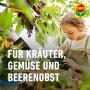 Frau behandelt Kräuter, Gemüse und Beerenobst mit Compo Nativert® Blattlaus-frei AF Bio.