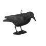Schwarze Krähenattrappe aus Kunststoff, realistisch mit Federstruktur und Haken. Vogelschreck für Garten, Balkon.