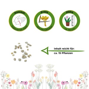 Infografik: Balkontomate 'Balkonzauber' – Aussaat, Ernte, Höhe und Ergiebigkeit der Gemüsesamen.