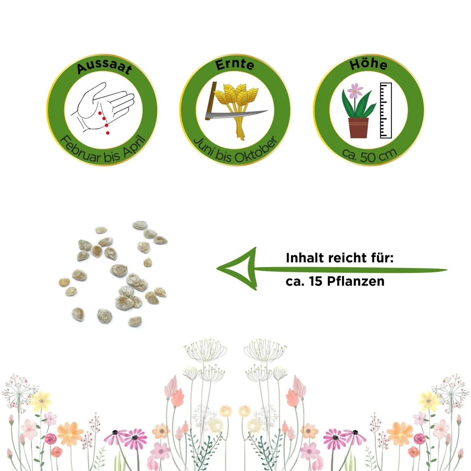Infografik: Balkontomate 'Balkonzauber' – Aussaat, Ernte, Höhe und Ergiebigkeit der Gemüsesamen.