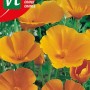 Kalifornischer Mohn Orange Samen Circa 1 g Für Naturgärten
