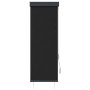 Anthrazitfarbenes vidaXL Außenrollo 60x250 cm für Fenster, Balkon und Terrasse.