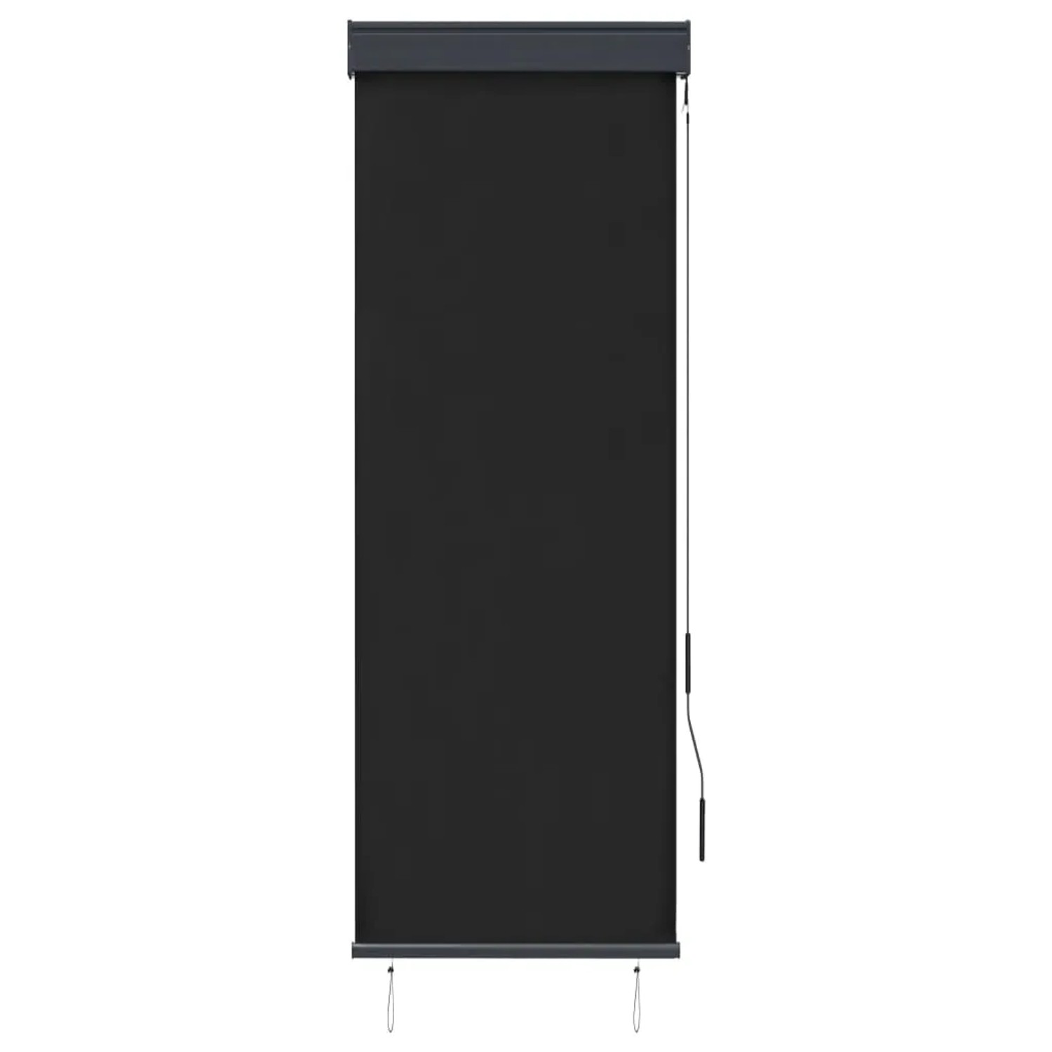 Anthrazitfarbenes vidaXL Außenrollo 60x250 cm für Fenster, Balkon und Terrasse.