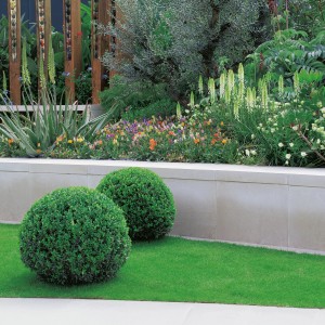 Zwei Buchsbaum Kugeln (Buxus sempervirens) im Garten, Formschnittgehölz im Topf.