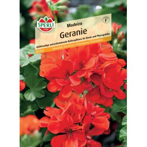 Sperli Saatgut Geranie Madeira Rot