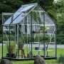 Halls Gewächshaus Icon 6 Alu, 2,5 m², mit Regalen und Pflanzen im Garten.